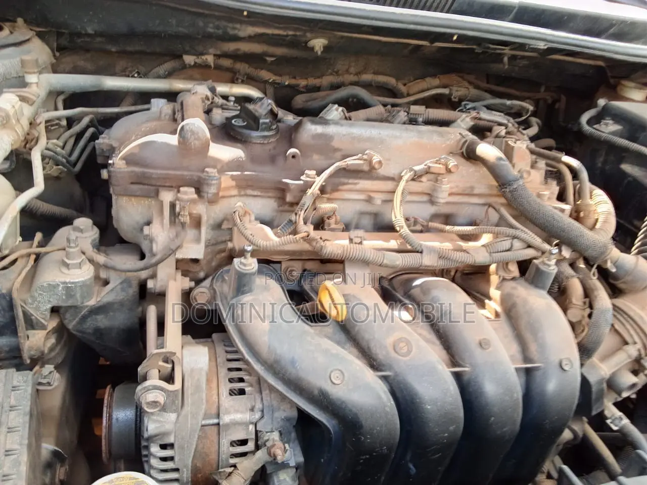 Toyota Corolla LE 4dr Sedan (1.8L 4cyl 4A) 2010 Gold