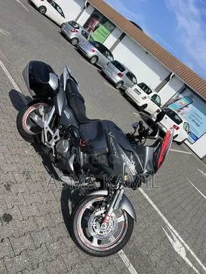 Honda 2024 Gray