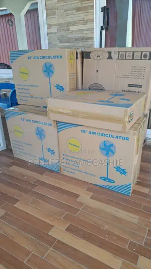 AuraSmart Standing Fan
