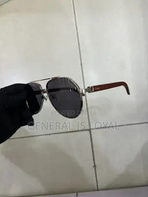 Cartier Dark Stainless Sunglasses Silver Wood Handle