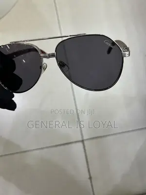 Cartier Dark Stainless Sunglasses Silver Wood Handle