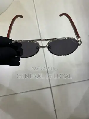 Cartier Dark Stainless Sunglasses Silver Wood Handle