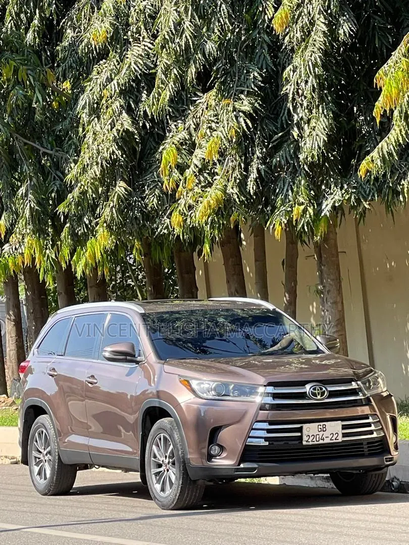 Toyota Highlander 2019 Brown