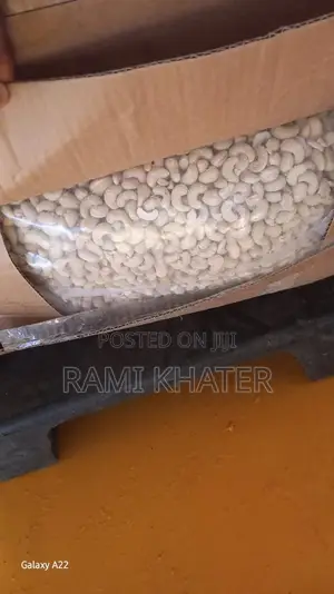 Cashew Nuts
