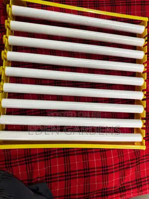 56 Eggs Incubator Tray With Motor