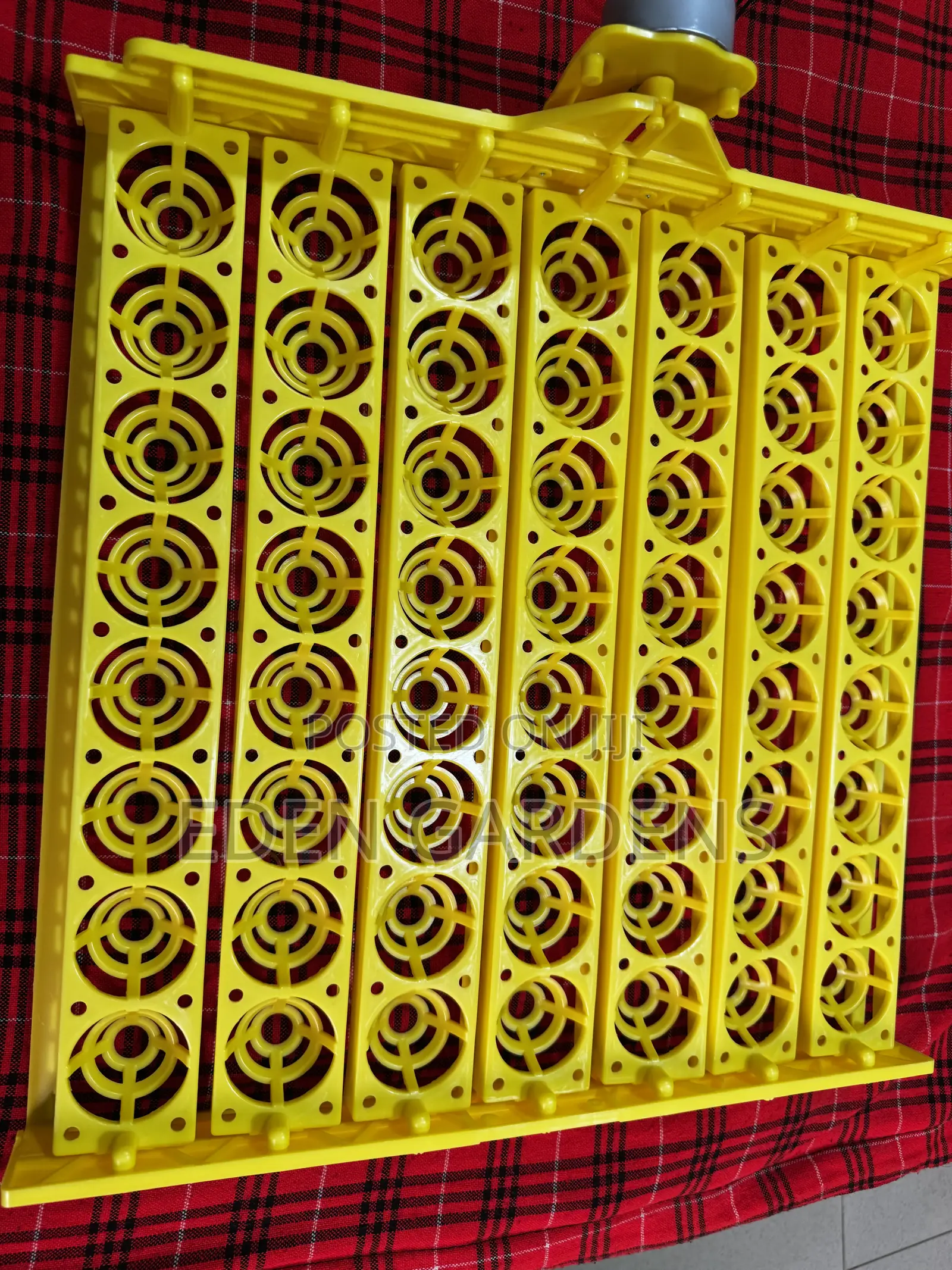 56 Eggs Incubator Tray With Motor