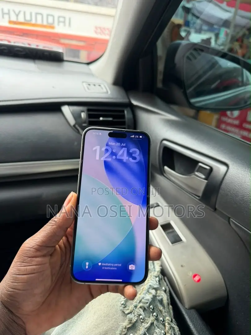 Apple iPhone 15 Pro Max 256 GB Silver