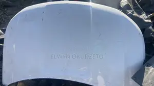 2016-2019 Ford Explorer Bonnet Hood