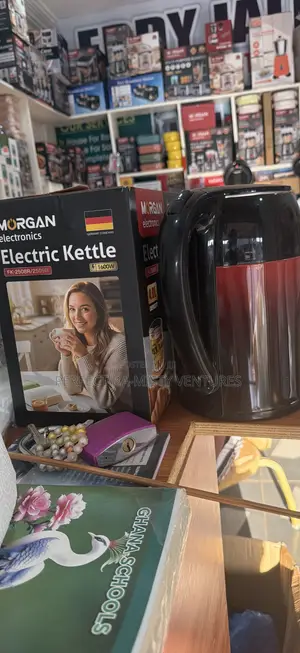 Morgan Electronic Kettle 4.0 L