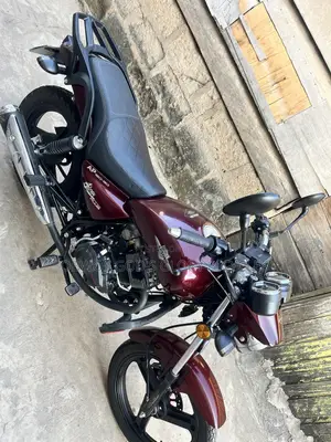 New Apsonic AP150-20 2026 Brown