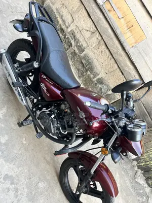 New Apsonic AP150-20 2026 Brown