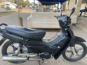 Luojia 110cc 2016 Black