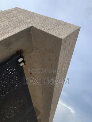 Professional Painting