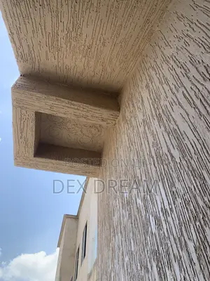 Professional Painting