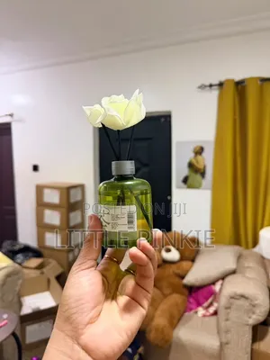 Air Freshener