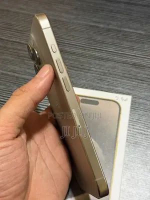 Apple iPhone 15 Pro Max 256 GB Gray