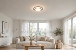 Modern Double Round LED Ceiling Light - Silver