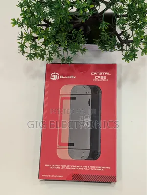 Nintendo Switch 2 Case