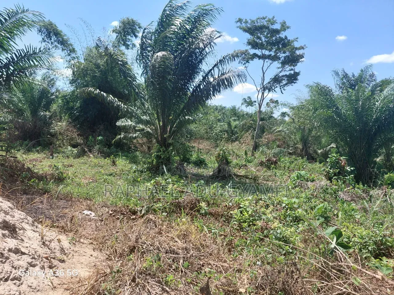 8 Plots of Land for Sale in Assin Foso Township