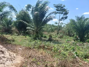 8 Plots of Land for Sale in Assin Foso Township