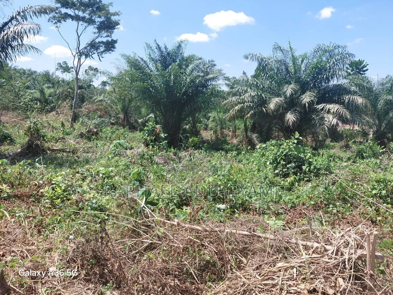 8 Plots of Land for Sale in Assin Foso Township