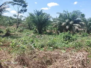 8 Plots of Land for Sale in Assin Foso Township
