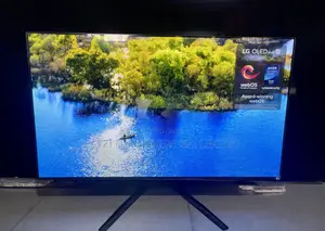 4x Hdmi 2.1 Ports at 144 Hz 4k Gaming TV 4k EVO 42 Inches LG OLED SMRT