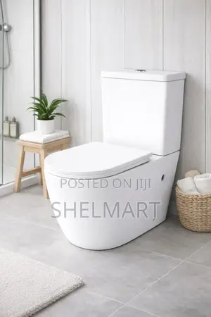 Shel Modern Master Bedroom Water Closet