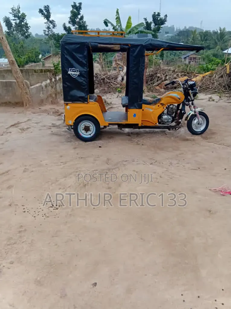 Apsonic AP150X 2025 Yellow