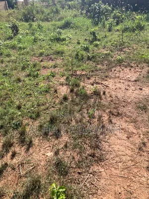 Two Plots of Land for Sale Packye No Two