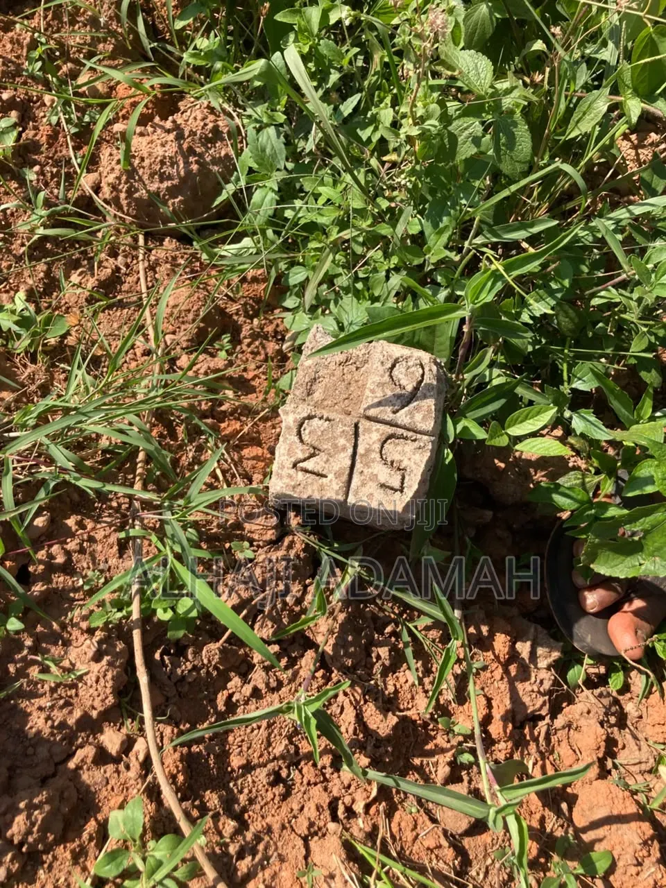 Full Plot of Land at Packye No Two