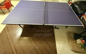 Complete Set of Table Tennis