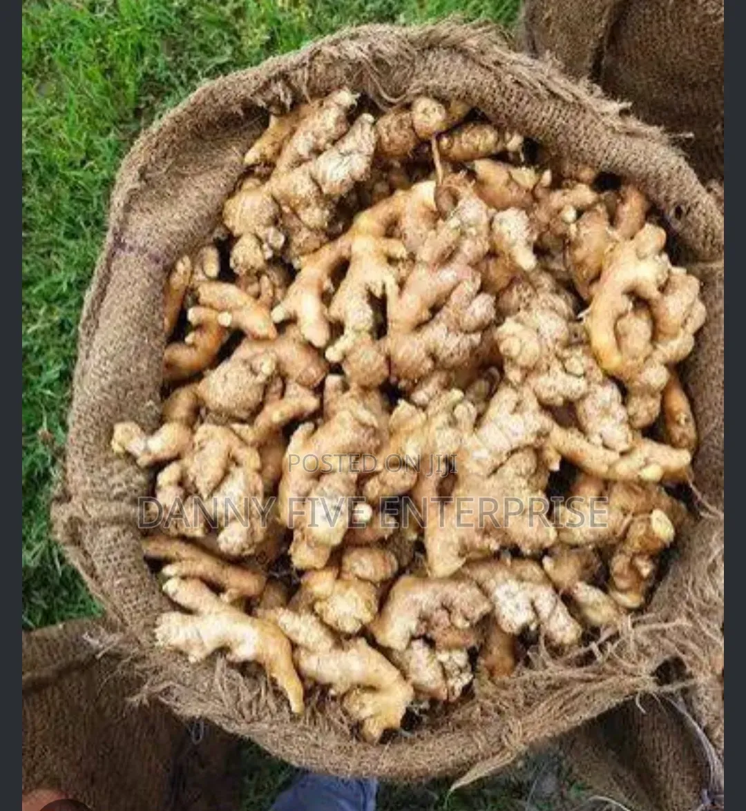Fresh Farm Ginger