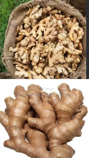 Fresh Farm Ginger