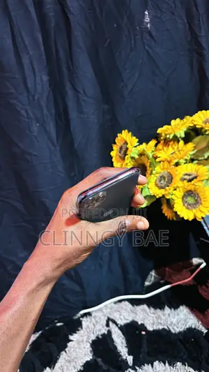 Apple iPhone 11 Pro Max 256 GB Black