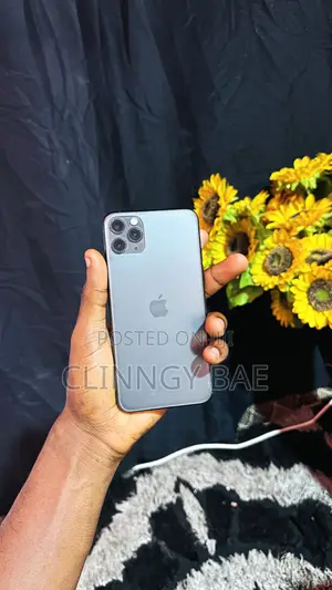 Apple iPhone 11 Pro Max 256 GB Black