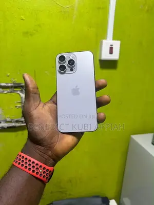 Apple iPhone 15 Pro Max 256 GB Gray