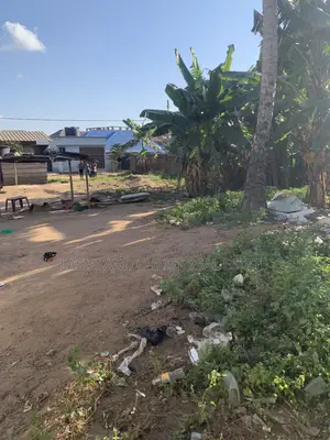 Half Plot for Sale at Amasaman