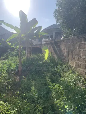 Half Plot for Sale at Amasaman