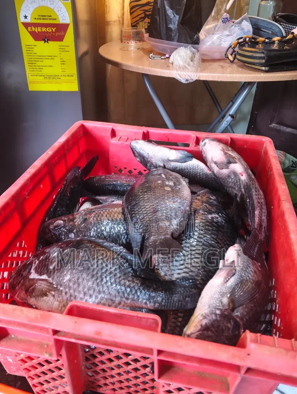 Fresh Tilapia for Sale in Tema 25