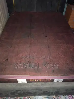 Orthopedic Mattress With Luxurious Bedframe