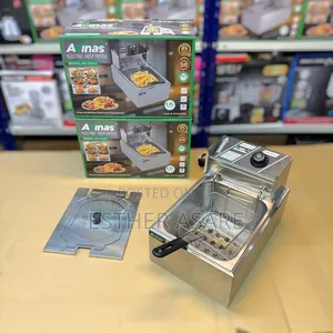 Avinas Electric Deep Fryer