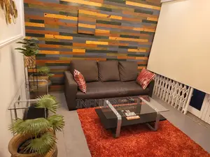 Furnished 1bdrm Apartment in Osu for rent