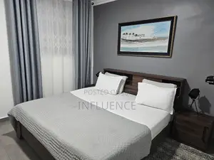 Furnished 1bdrm Apartment in Osu for rent