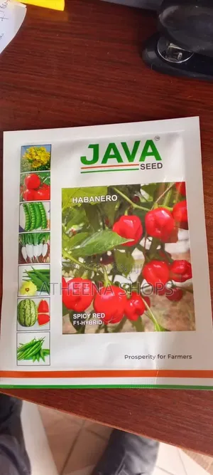 Habanero Super Hot Seeds (F1) 50 Grams