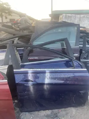Hyundai Sonata Doors