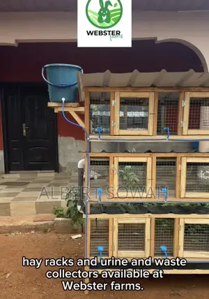 Modern Rabbits and Grasscutter Cages for Sale