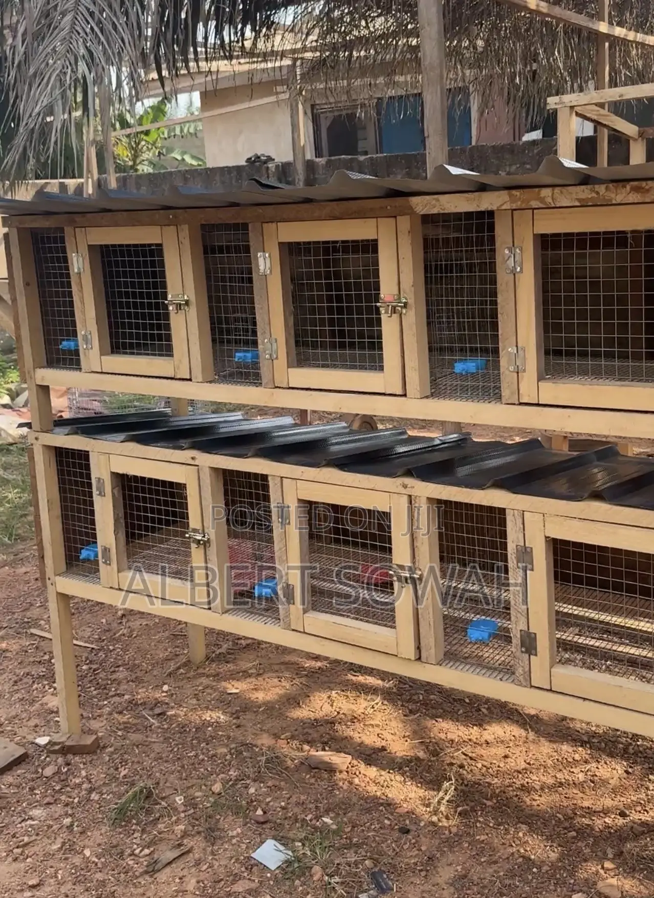 Modern Rabbits and Grasscutter Cages for Sale