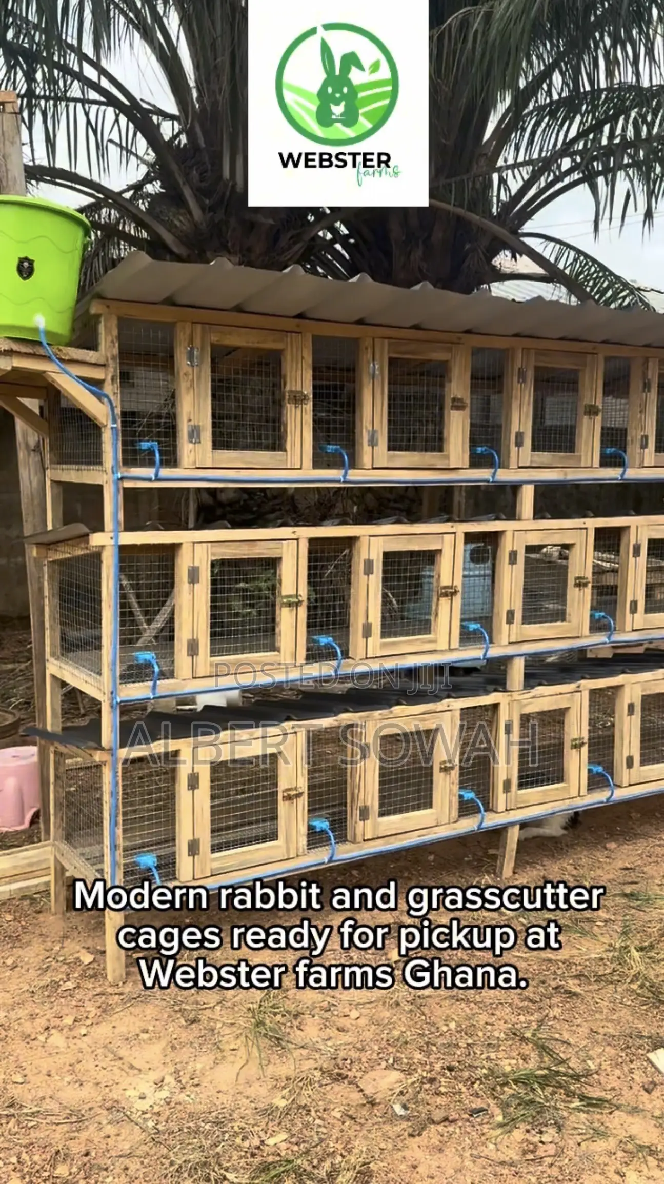 Modern Rabbits and Grasscutter Cages for Sale
