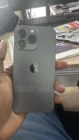 Apple iPhone 13 Pro 256 GB Gray